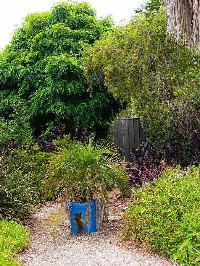 Echuca Motel المظهر الخارجي الصورة